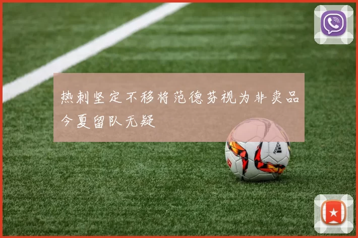 热刺坚定不移将范德芬视为非卖品今夏留队无疑