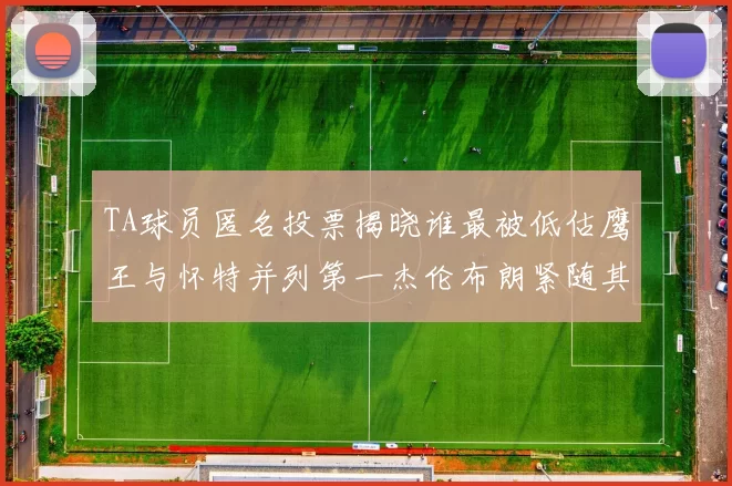 TA球员匿名投票揭晓谁最被低估鹰王与怀特并列第一杰伦布朗紧随其后