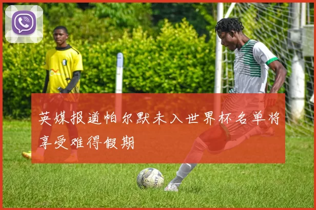 英媒报道帕尔默未入世界杯名单将享受难得假期