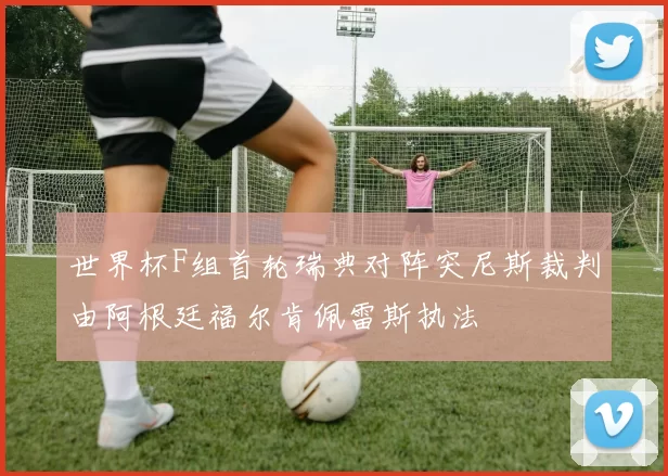 世界杯F组首轮瑞典对阵突尼斯裁判由阿根廷福尔肯佩雷斯执法