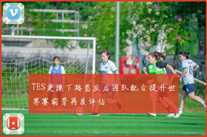 TES更换下路首发后团队配合提升世界赛前景再度评估